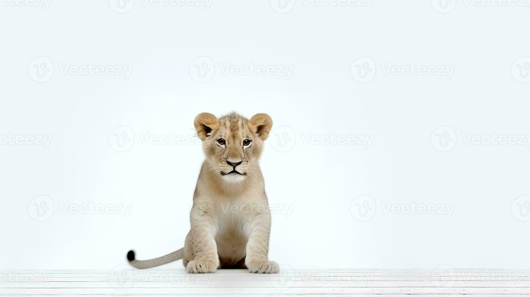 Foto von ein Löwe auf Weiß Hintergrund. generativ ai