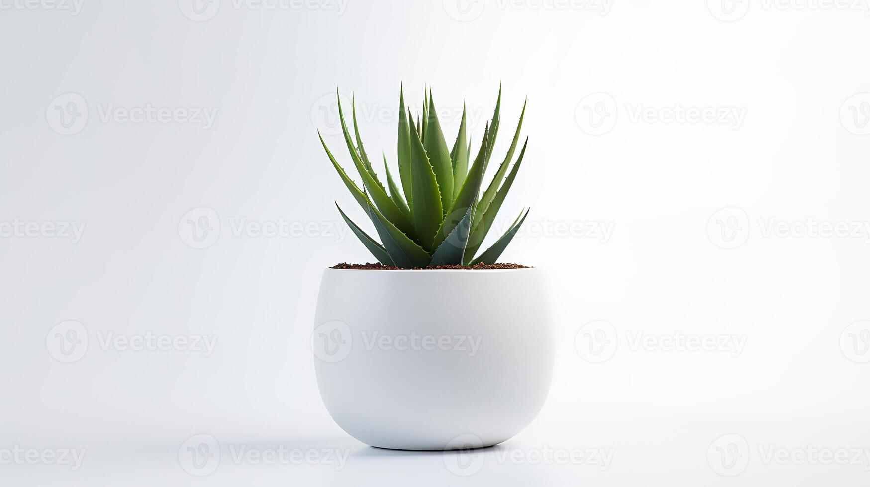 Foto von Agave im minimalistisch Topf wie Zimmerpflanze zum Zuhause Dekoration isoliert auf Weiß Hintergrund. generativ ai