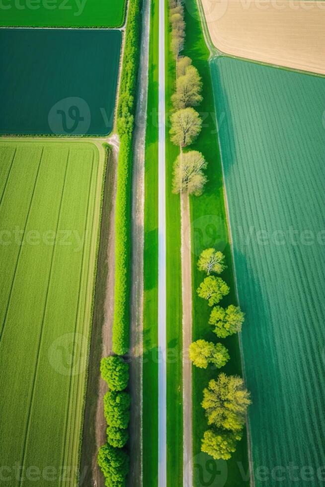 generativ ai, Bauernhof Landschaft, landwirtschaftlich Felder, schön Landschaft, Land Straße. Natur Illustration, fotorealistisch oben Aussicht Drohne, Vertikale Format foto