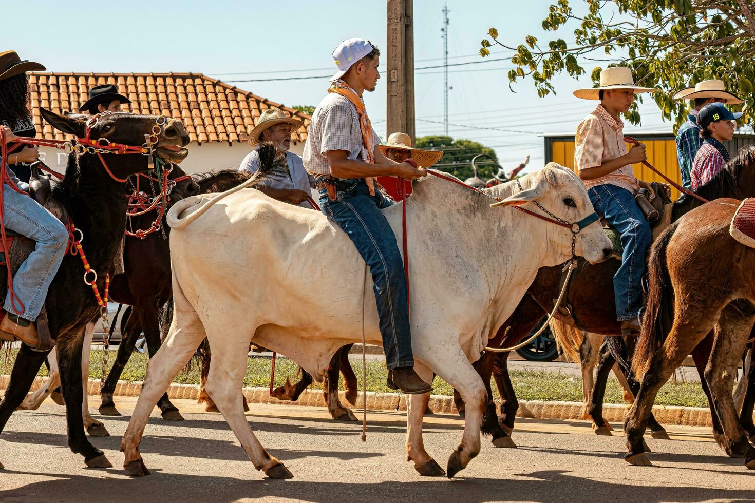 apore, goias, Brasilien - - 05 07 2023 zu Pferd Reiten Veranstaltung öffnen zu das Öffentlichkeit foto