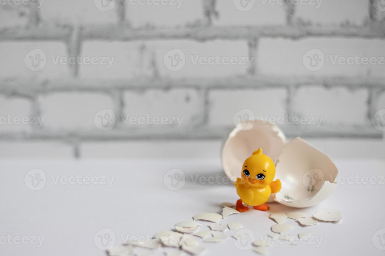 weiße Eierschale eines zerbrochenen Hühnerei mit Fragmenten und einem ausgebrüteten Huhn isoliert. Ostern foto
