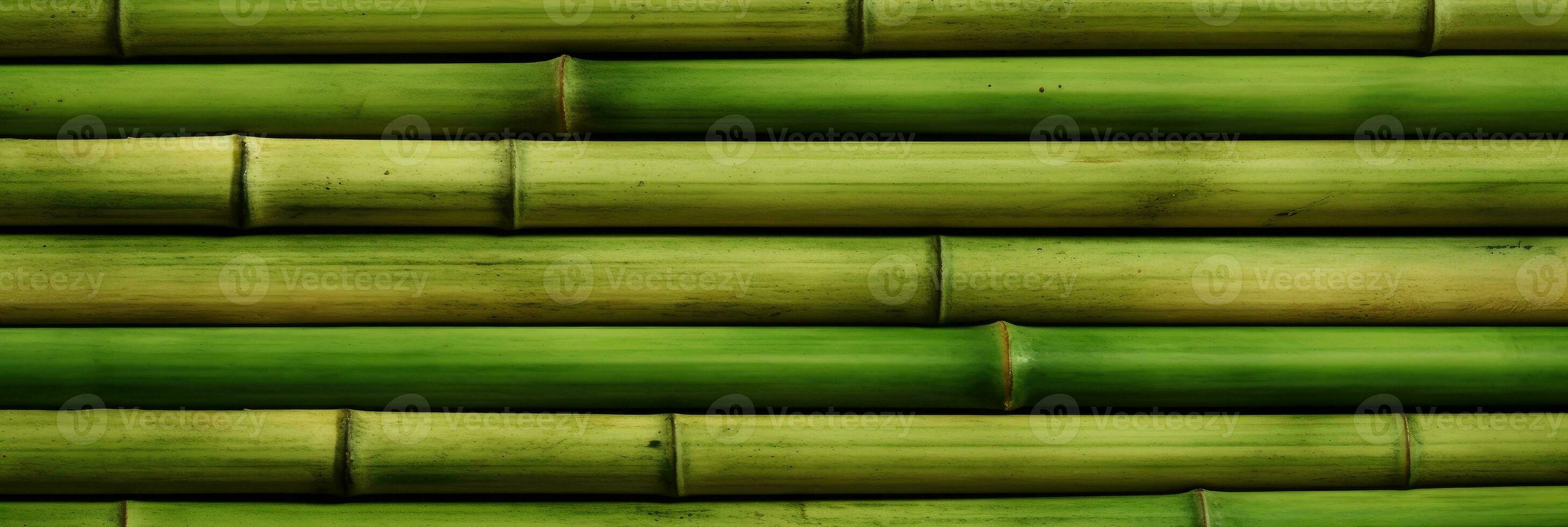 horizontal Grün Bambus Hintergrund Textur foto
