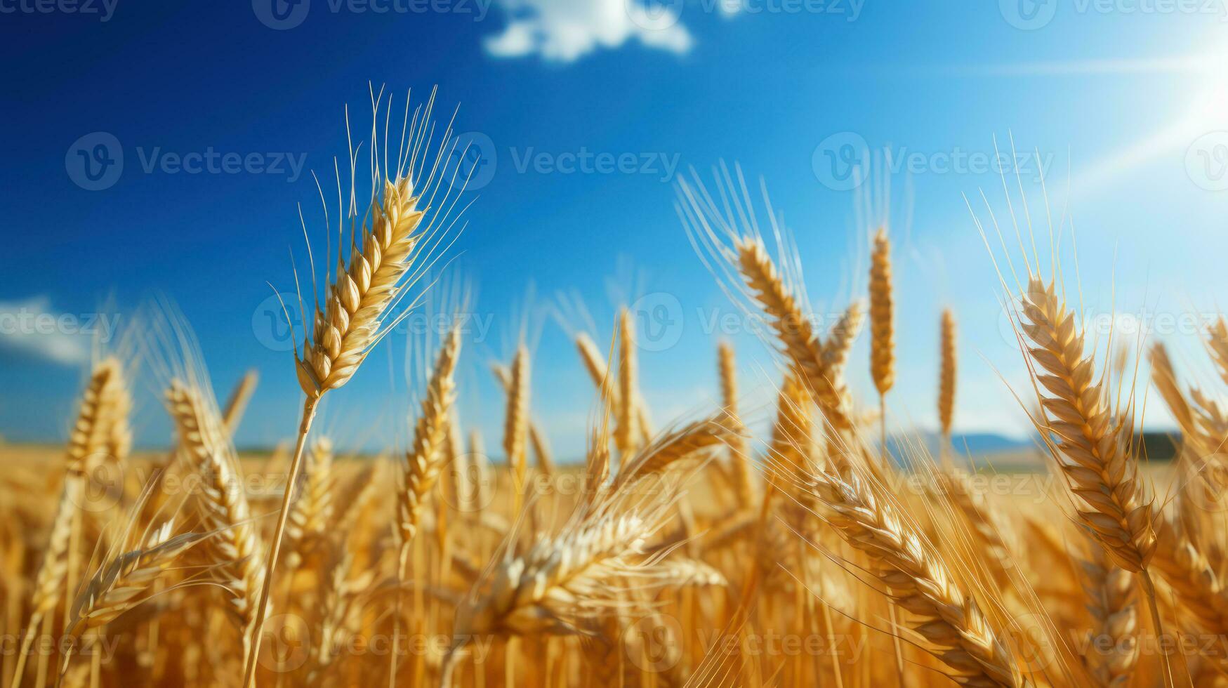 Gerste Ernte im ein golden Feld ai generiert foto