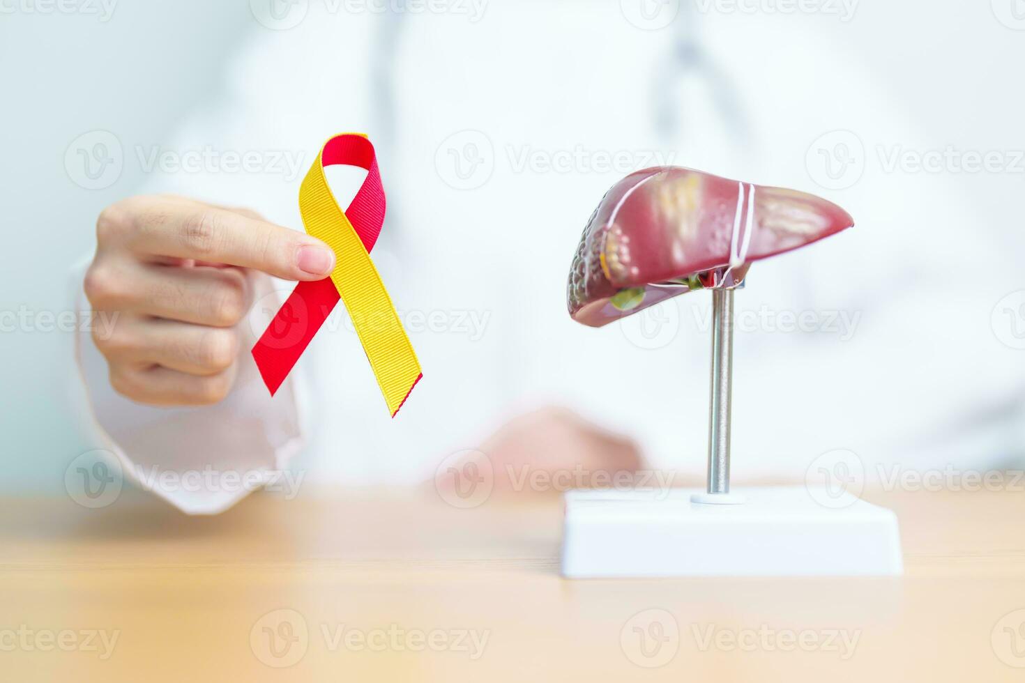 Arzt mit rot und Gelb Band und Mensch Leber Anatomie Modell. Welt Hepatitis Tag, 28 Juli, Leber Krebs Bewusstsein Monat, Gelbsucht, Zirrhose, Versagen, vergrößert, hepatisch Enzephalopathie und Gesundheit foto