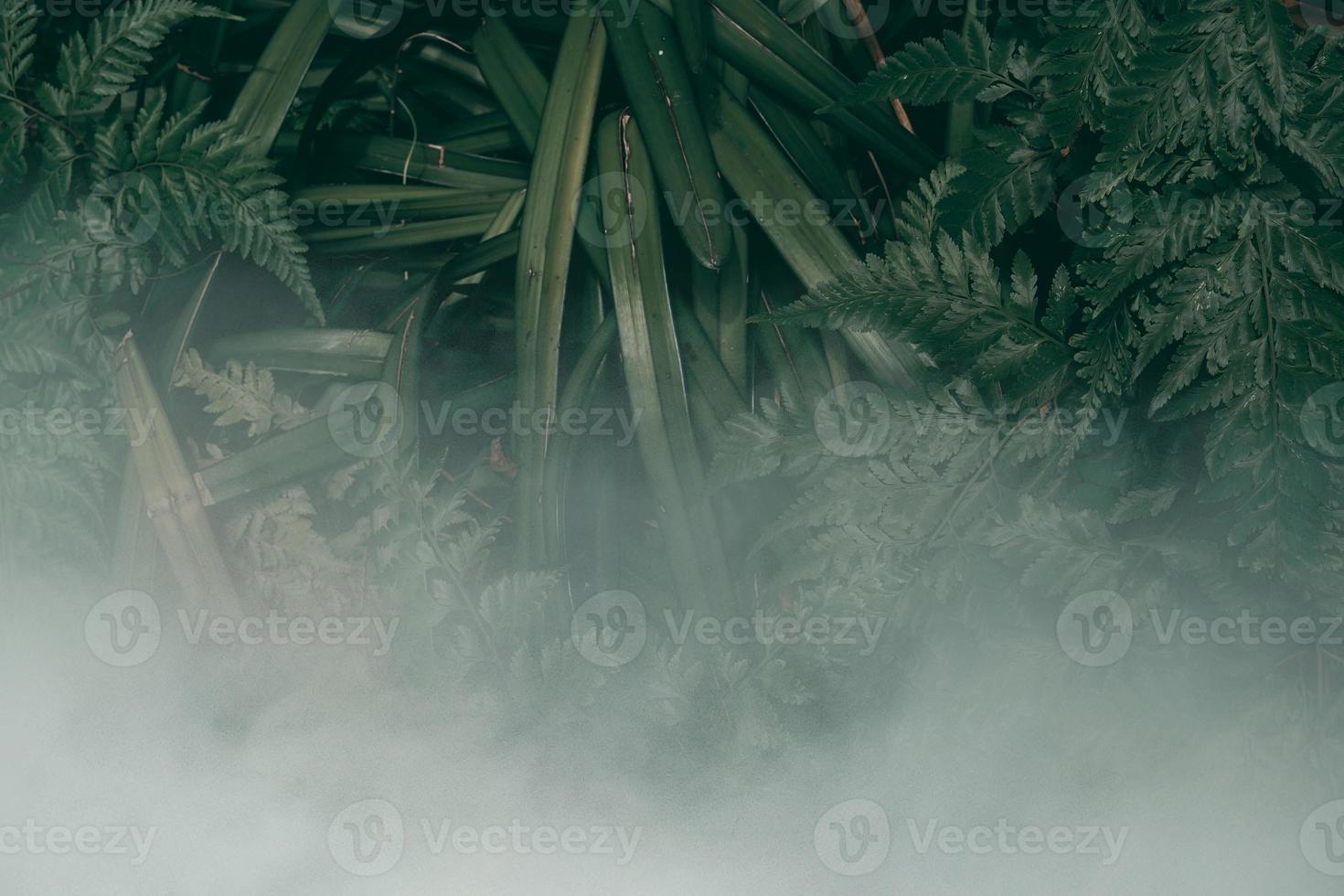 vertikaler Garten mit tropischem grünem Blatt mit Nebel und Regen, dunkler Ton foto