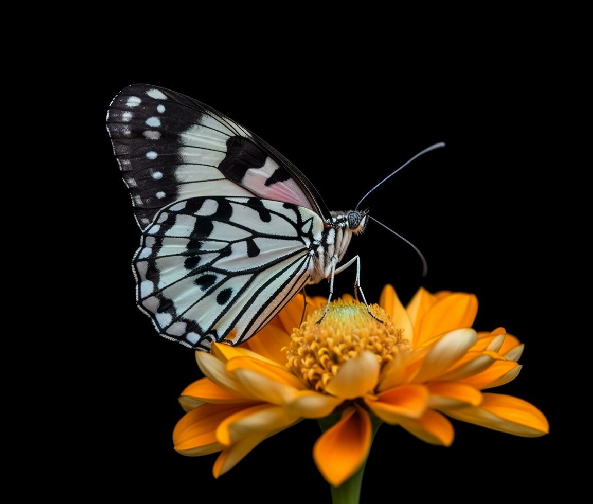 schließen oben Detail von Schmetterling thront auf Blume Blütenblätter. schön Porträt von Schmetterling, generativ ai foto