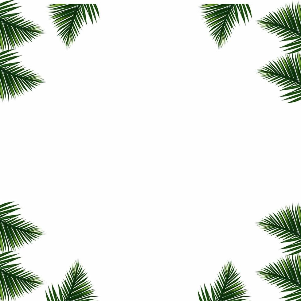 tropisch Grün Palme Blätter Rand Rahmen auf transparent Hintergrund, Laub Rand Hintergrund, Grün Blätter Hintergrund, Grün Hintergrund, Grün Blätter Grenze, belaubt Rand foto