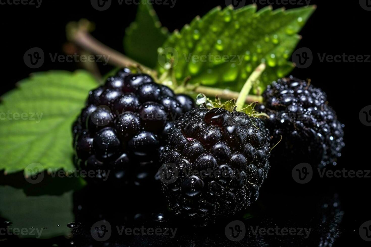 Brombeeren mit Blätter. Ast von reif Brombeere im ein Garten auf Grün Hintergrund. generativ ai foto