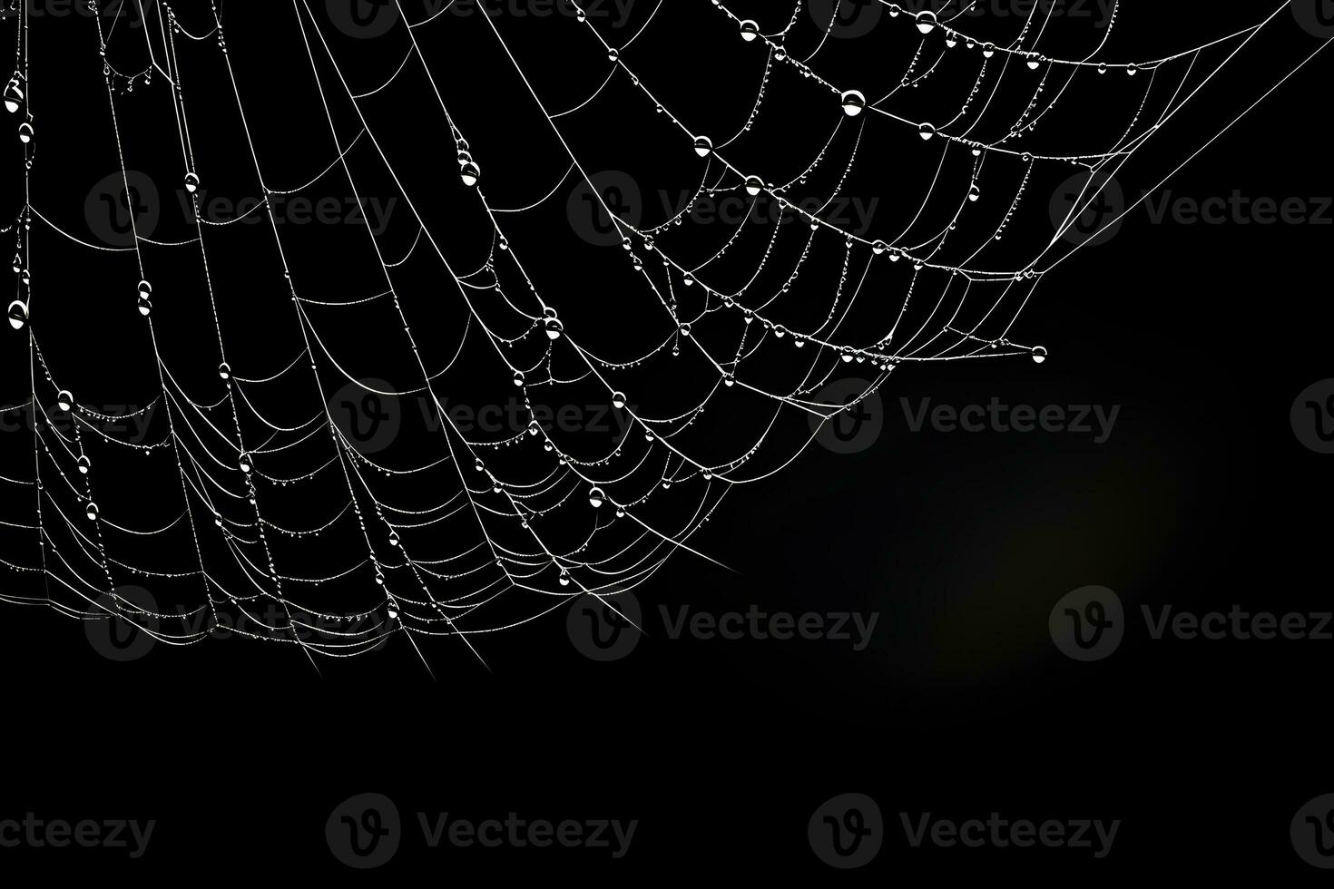 Spinnennetz mit schwarz Hintergrund, Weiß Spinnennetz, ai generiert foto