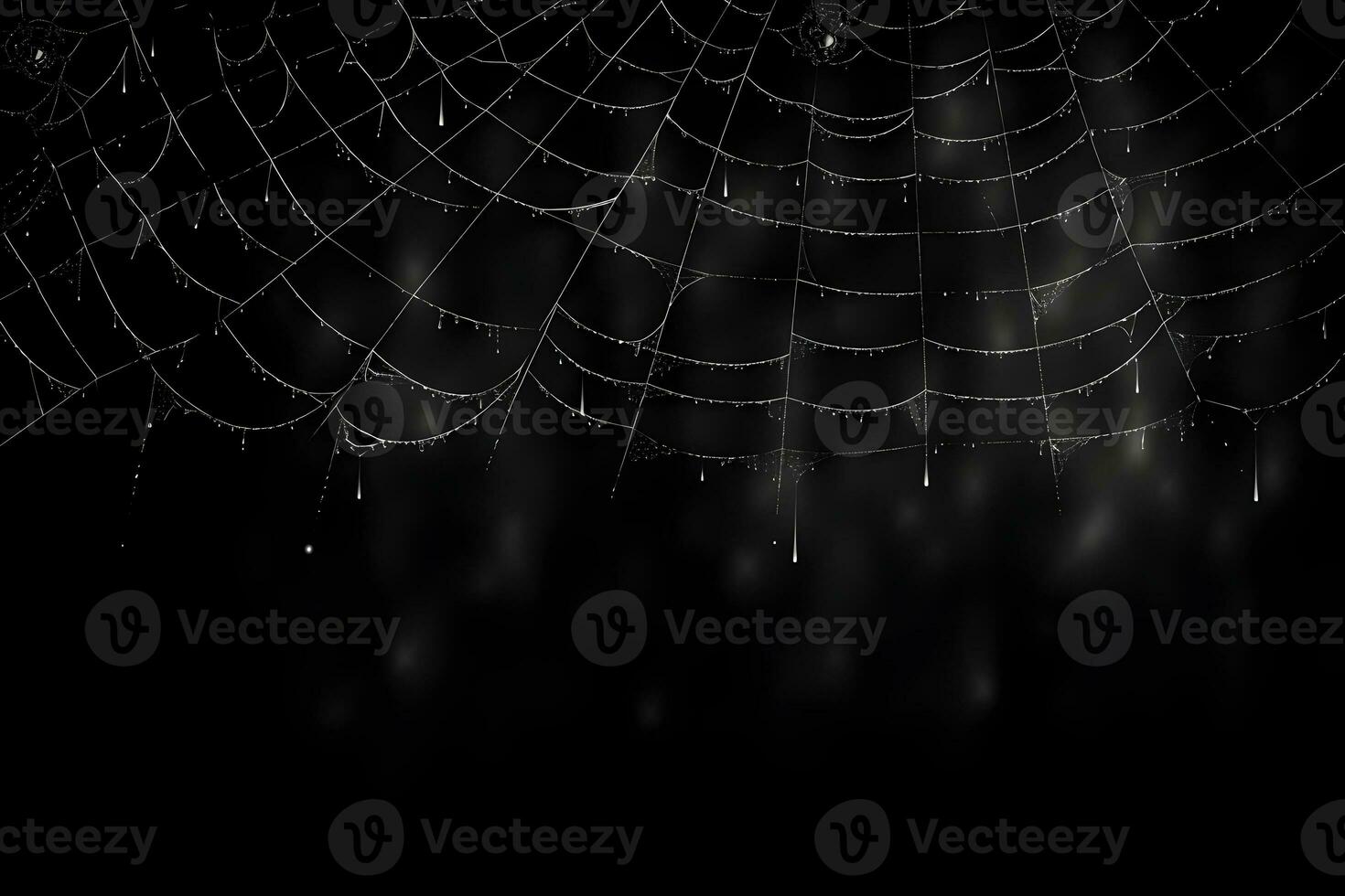 Spinnennetz mit dunkel Hintergrund, Weiß Spinnennetz, ai generiert foto