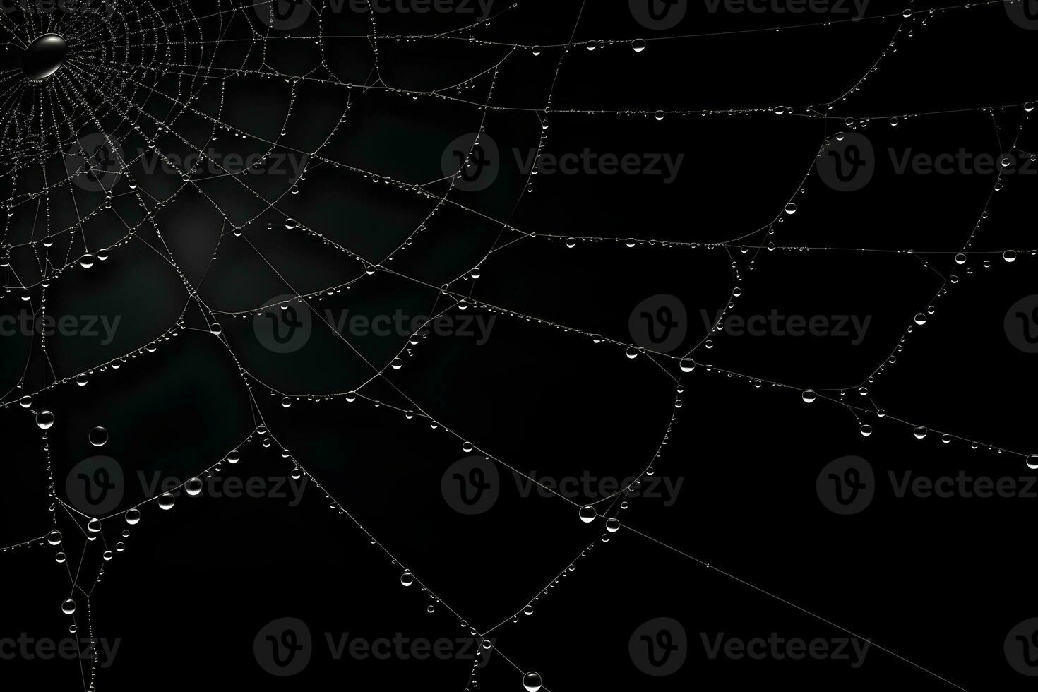 Spinnennetz dunkel Hintergrund, Spinnennetz mit Wasser Tropfen, ai generiert foto