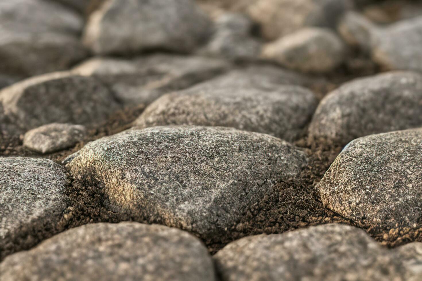 abstrakt texturiert Oberfläche von bewachsen Felsen auf Küste bedeckt mit leeren Weiß Schnecke Muscheln im Sonnenlicht foto