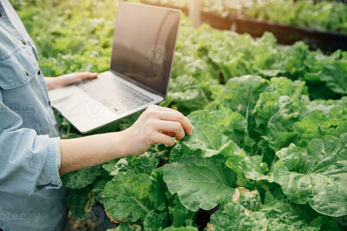 asiatisch Frau Farmer mit Digital Tablette im Gemüse Garten beim Gewächshaus, Geschäft Landwirtschaft Technologie Konzept, Qualität Clever Bauer. foto
