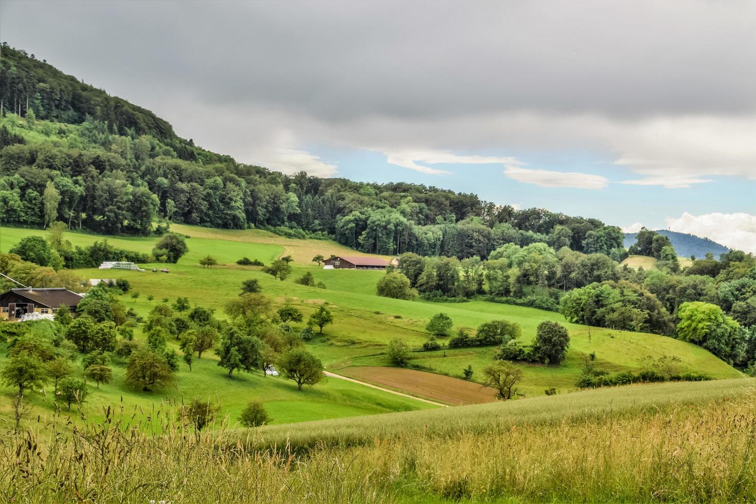 eine schweizer landschaft foto