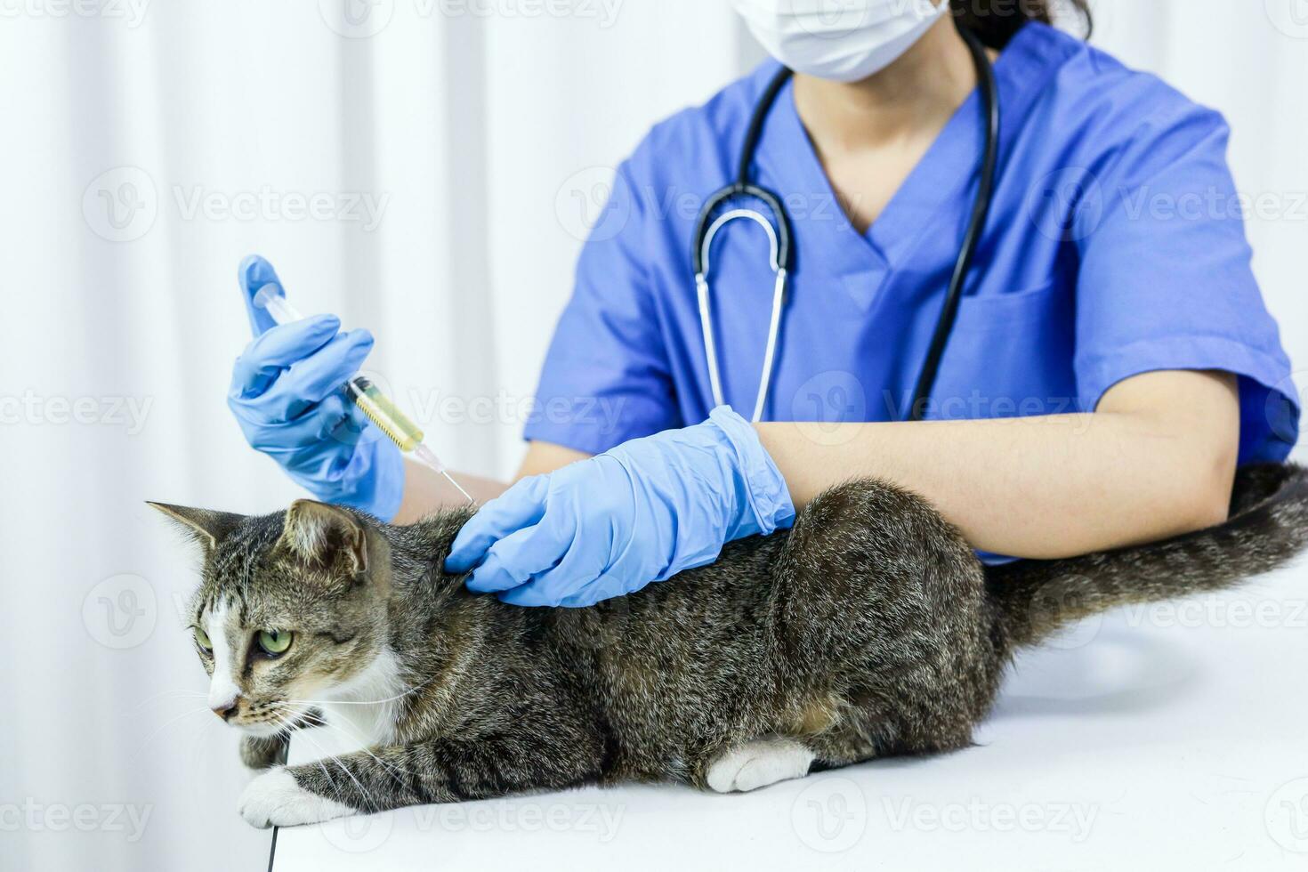 Katze auf Untersuchung Tabelle von Tierarzt Klinik. Veterinär Pflege. Tierarzt Arzt und Katze. foto