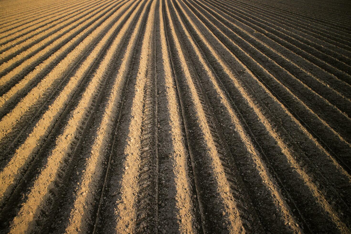 das Zeichnungen auf Erde foto