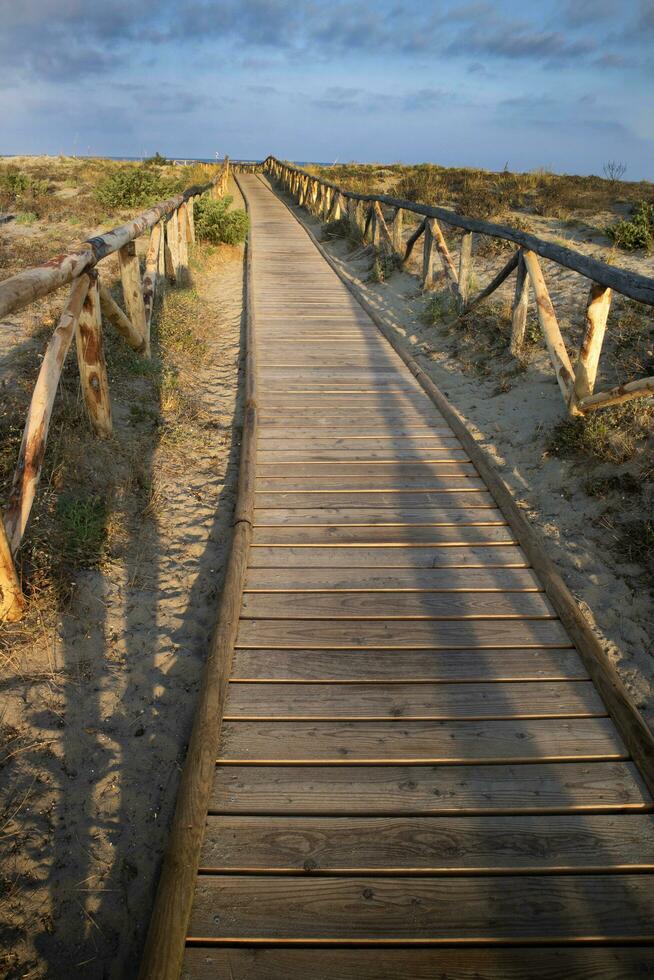 Gehweg führen zu das Meer im das natürlich Park von viareggio Italien foto