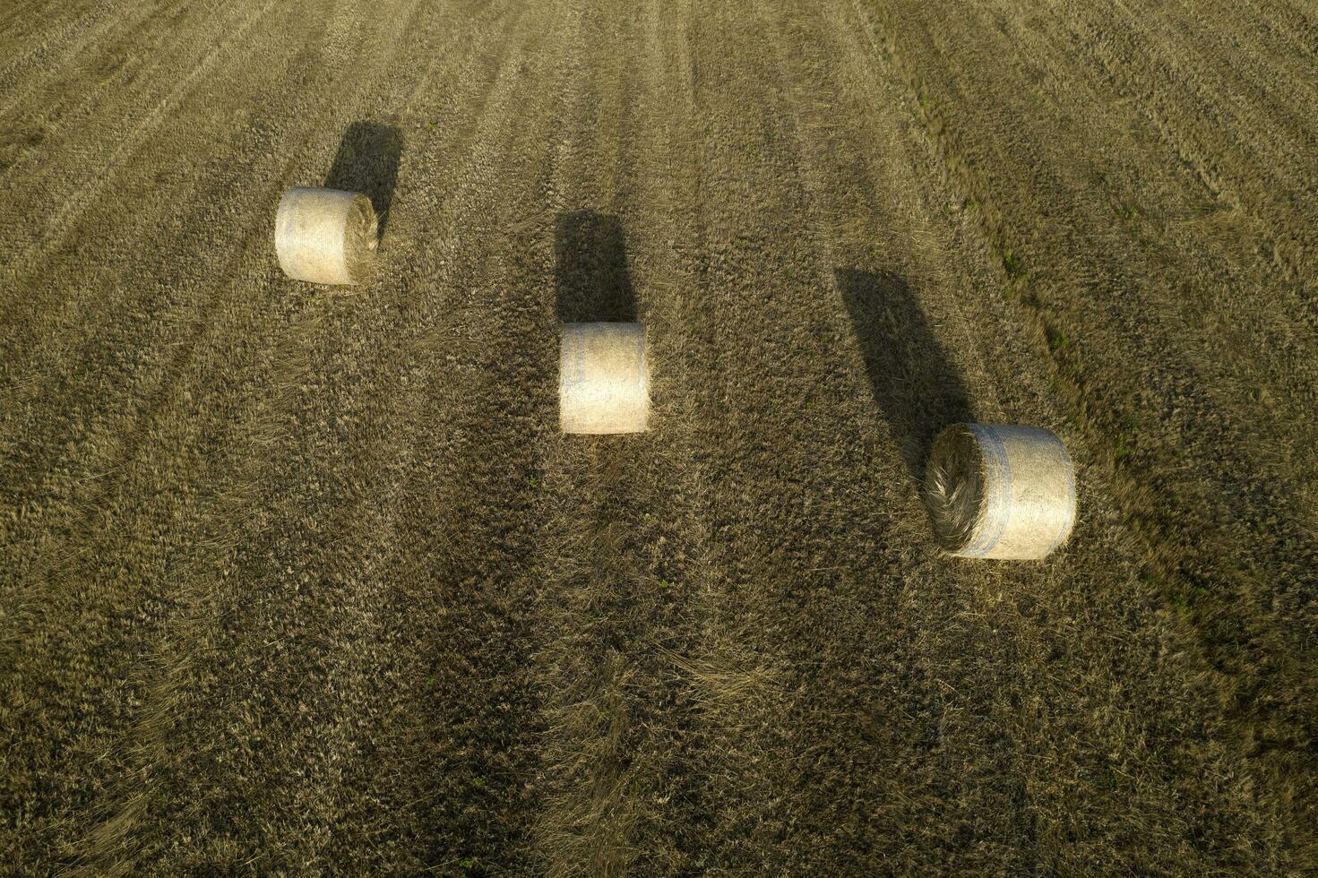 klassisch Stroh Ballenpressen im das Sommer- Jahreszeit foto