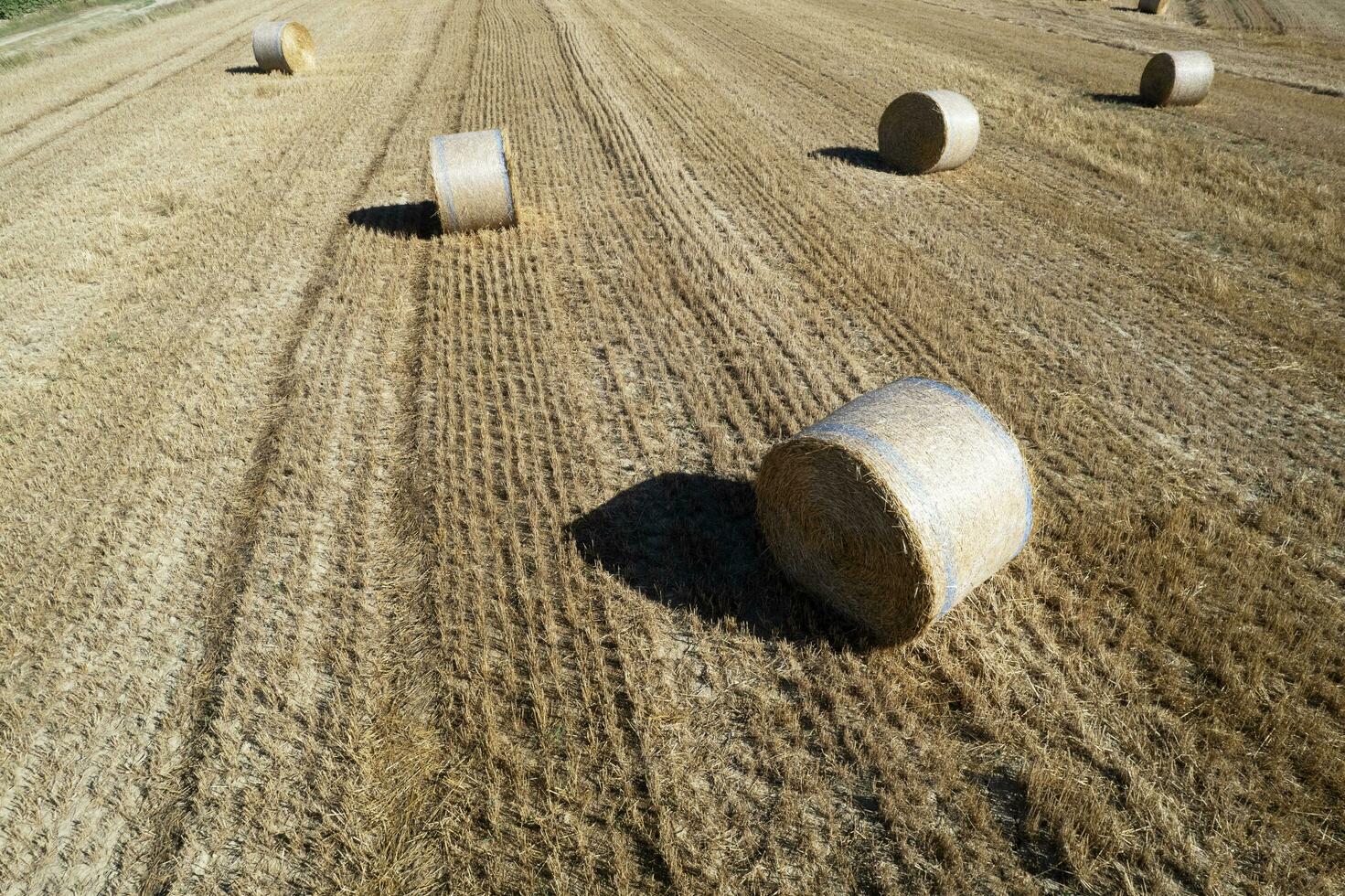 Antenne Aussicht von ein runden Ballen Feld im Hochsommer- foto