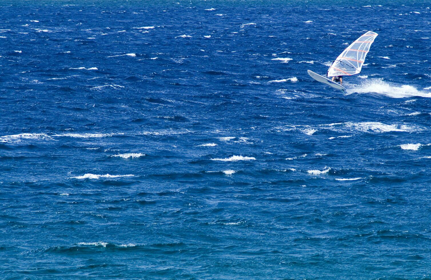 ein Mann Windsurfen im das Ozean foto