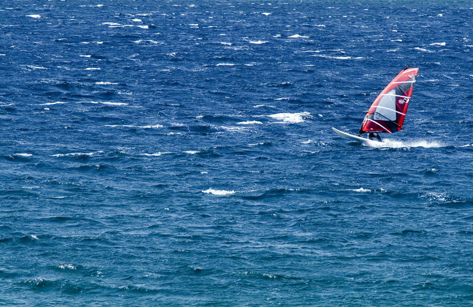 ein Mann Windsurfen im das Ozean foto