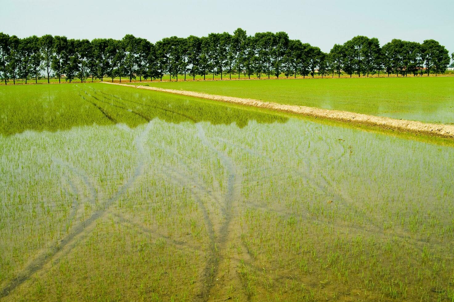 ein Feld mit ein Fluss von Wasser Laufen durch es foto