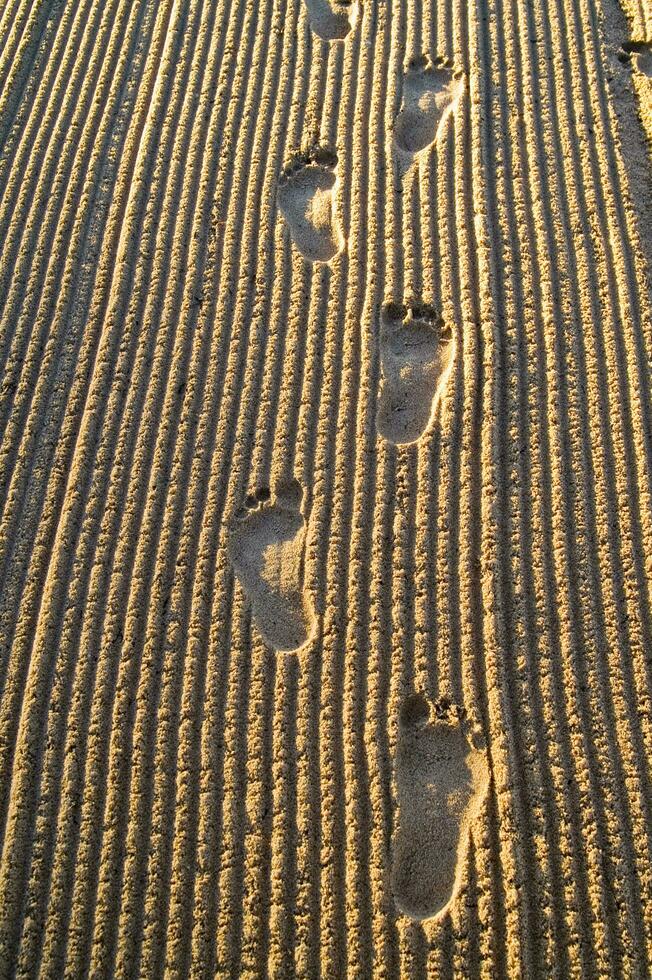 Fußabdrücke im Sand foto