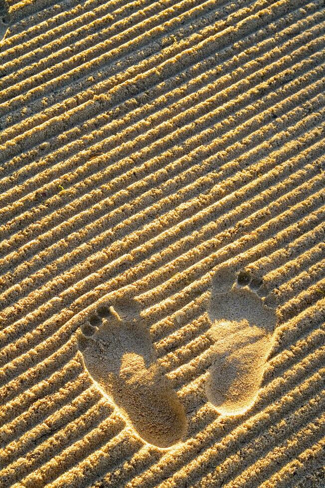 Fußabdrücke im Sand foto