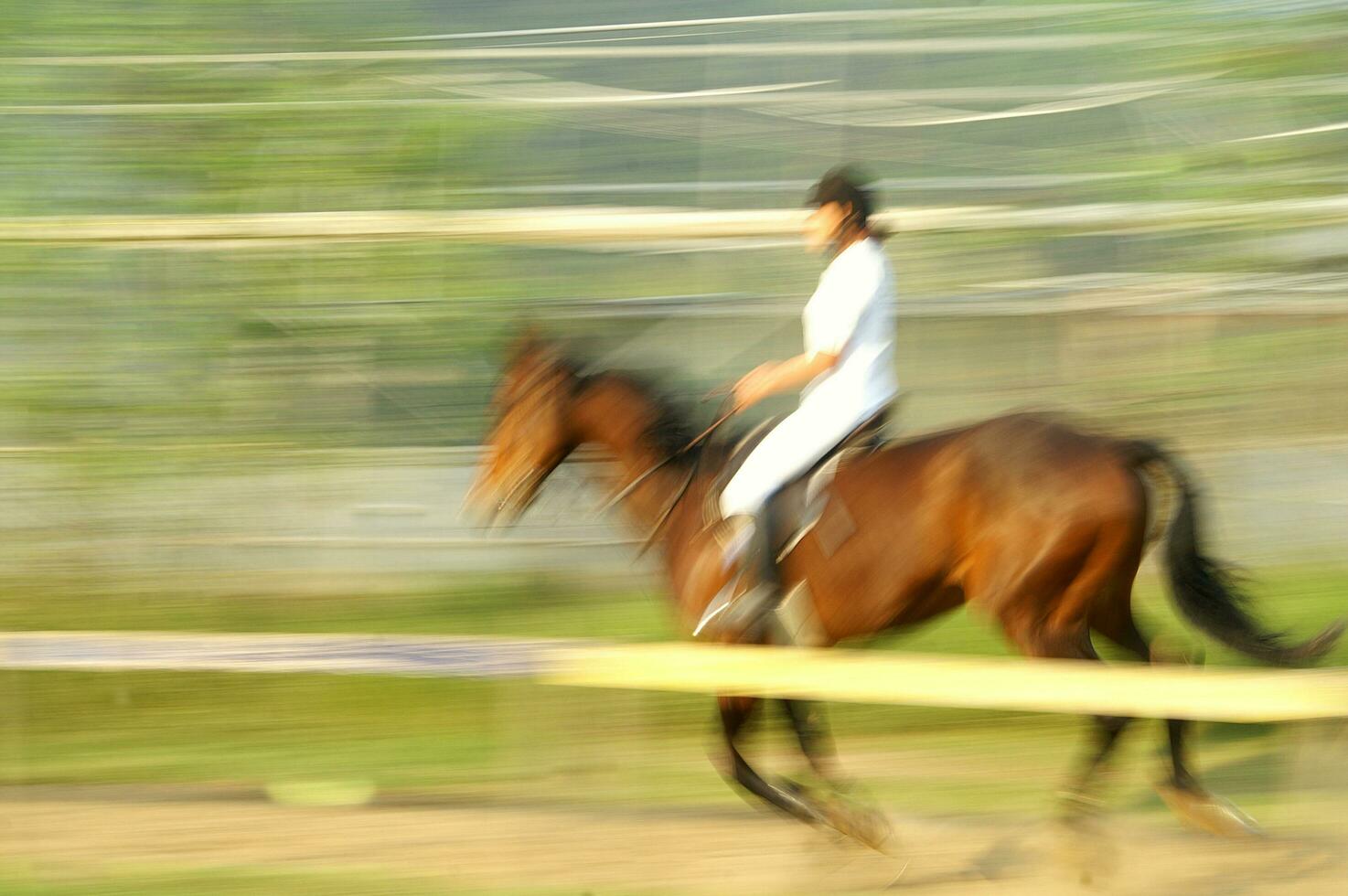 ein Person Reiten ein Pferd foto