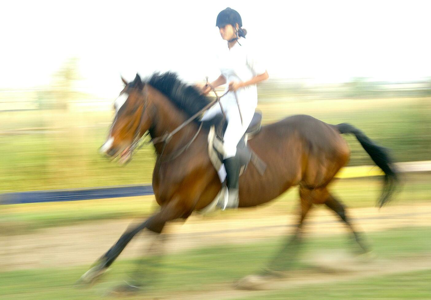 ein Person Reiten ein Pferd foto