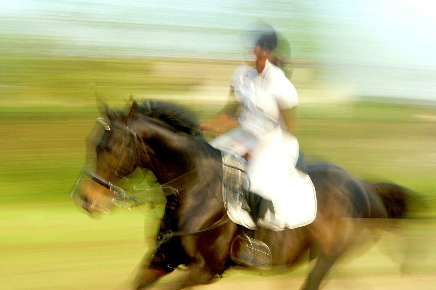 ein Person Reiten ein Pferd foto