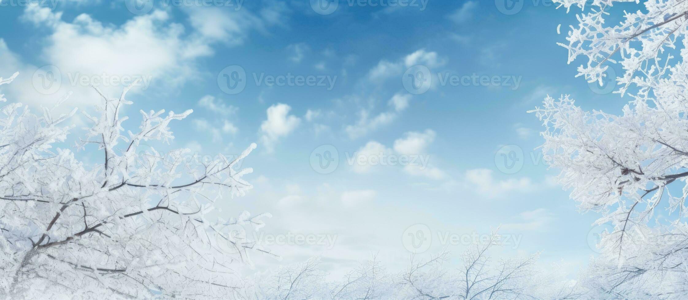 ein Winter Natur Hintergrund mit schneebedeckt Baum Geäst gegen ein Blau Himmel, Angebot Kopieren Raum foto