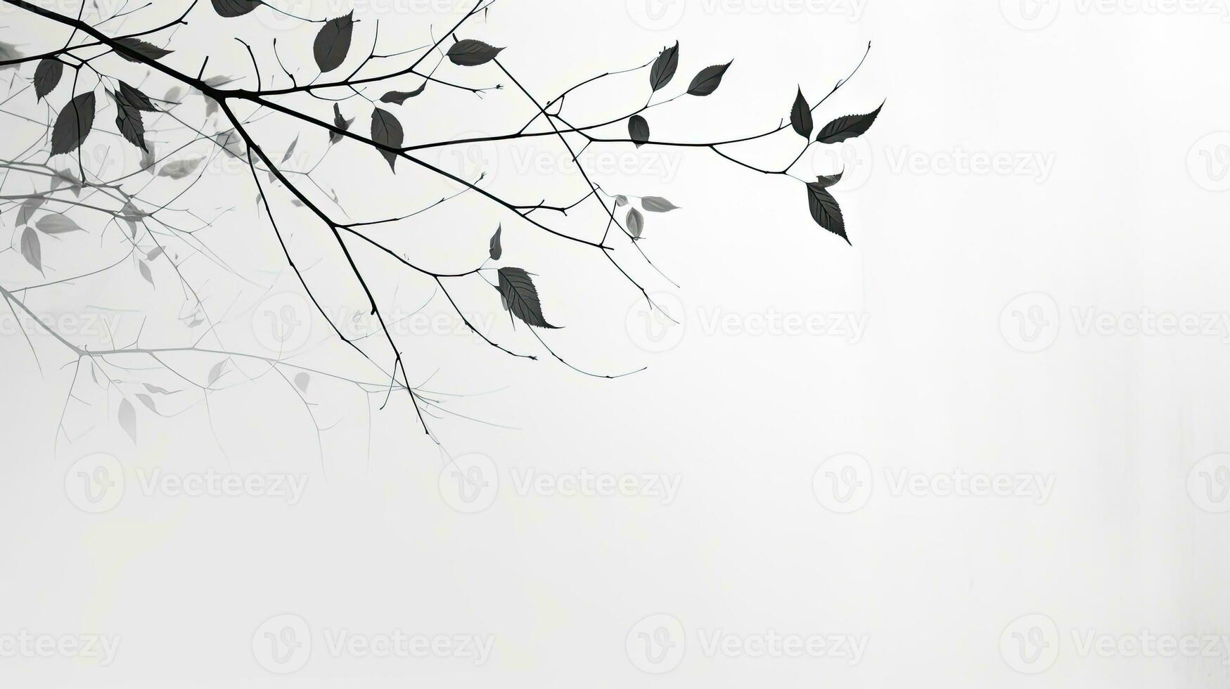 künstlerisch schwarz und Weiß Muster von Blatt Schatten auf ein Weiß Mauer foto