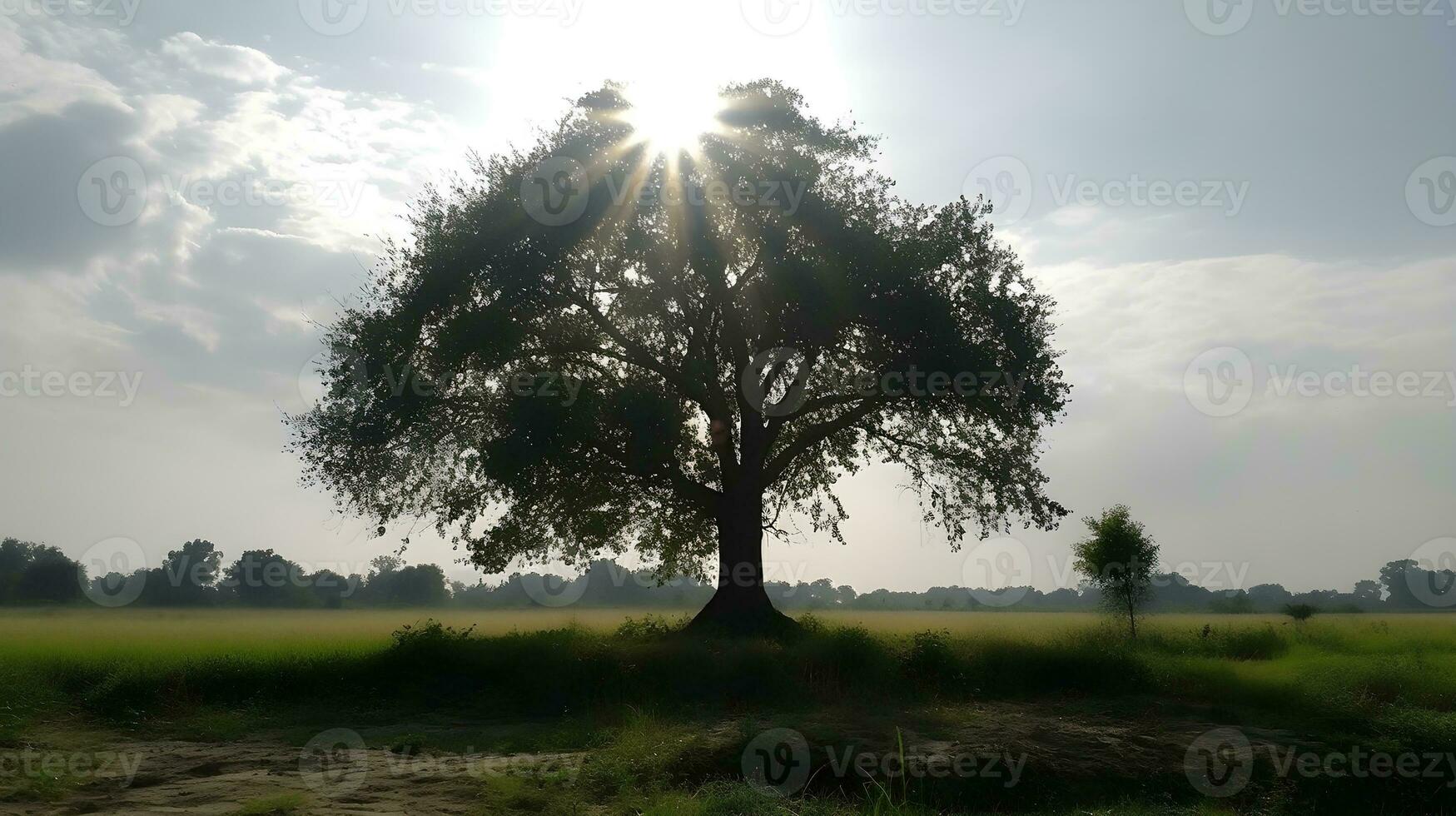 ein Silhouette von ein groß Baum mit Wiese und Natur Bäume beim das Hintergrund im ein hell sonnig Tag und Sonne Blendung. ai generiert foto