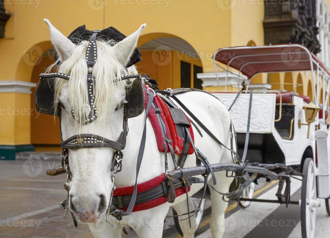 traditionelles pferdegezogenes fahrzeug in lima, peru foto