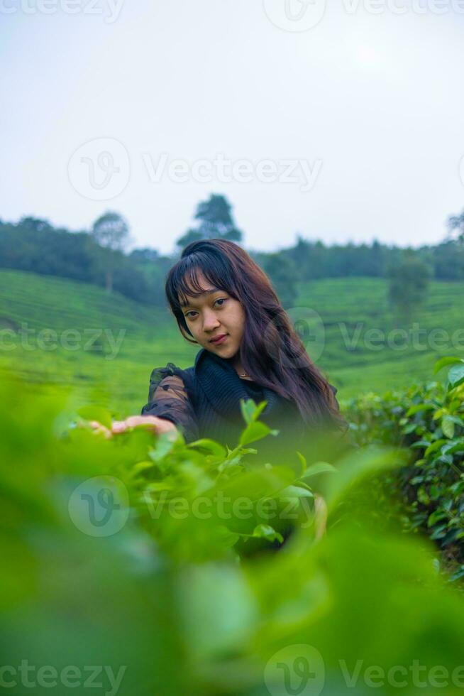 ein asiatisch Frau im ein schwarz Kleid ist posieren im Vorderseite von ein sehr schön Tee Plantage foto