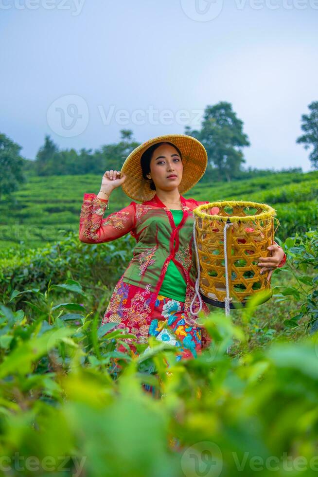 ein Tee Blatt Farmer ist genießen das Aussicht von das Tee Garten während halten ein Korb foto