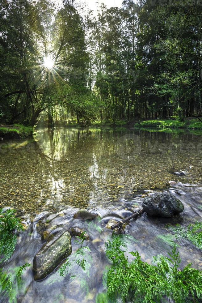 Bergfluss im Wald bei Sonnenaufgang foto