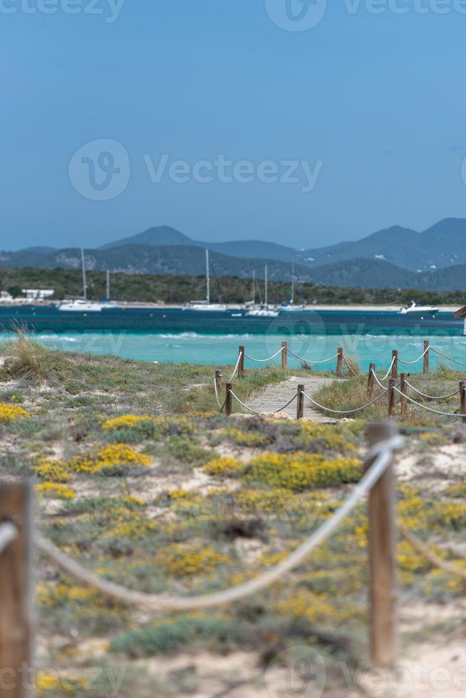 Strand von Ses Illetes auf Formentera, Balearen in Spanien. foto