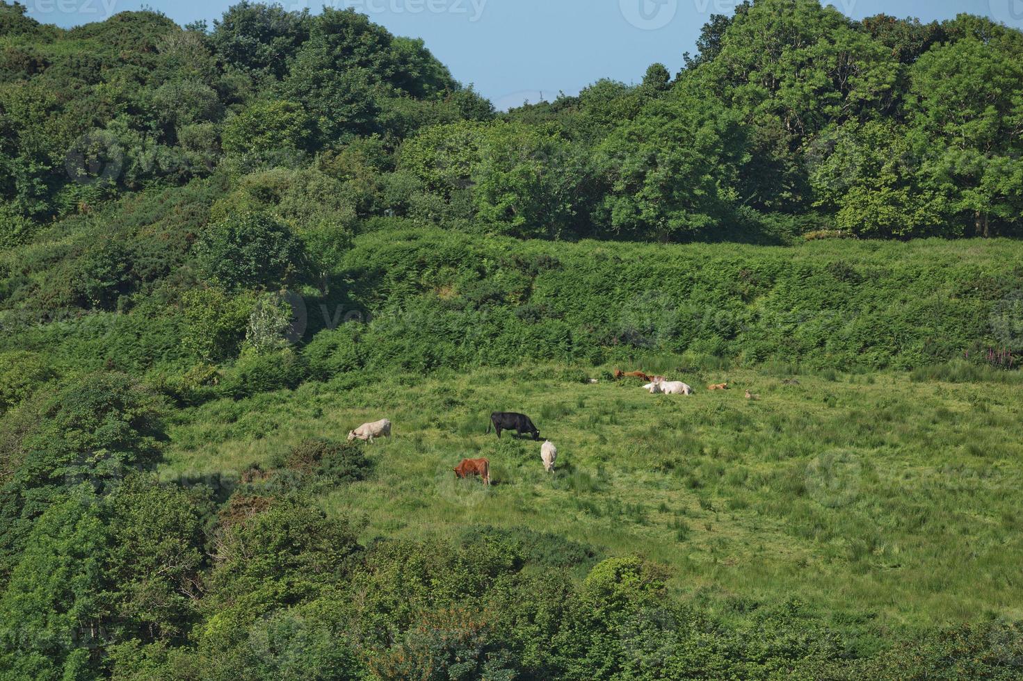 irische Küste in der Nähe von Killybegs, County Donegal in Irlandire foto