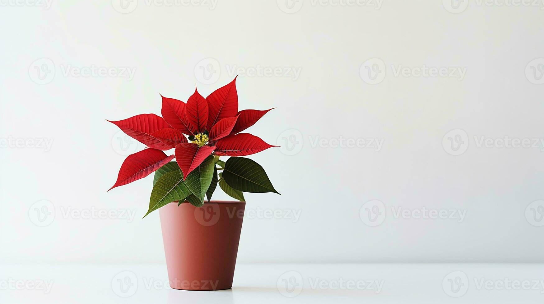 Foto von Weihnachtsstern Blume im Topf isoliert auf Weiß Hintergrund. generativ ai