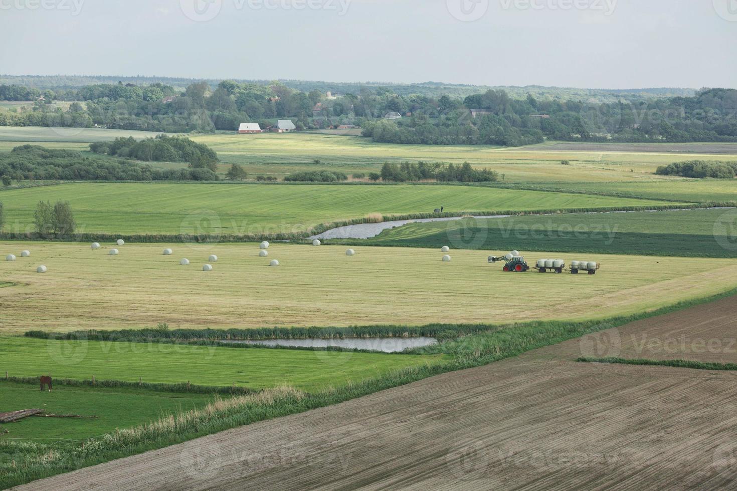 schöne landschaft und sonnenstrahlen in der nähe von kiel, schleswig holstein, deutschland foto