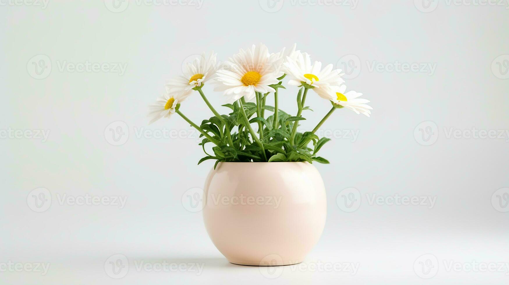 Foto von Gänseblümchen Blume im Topf isoliert auf Weiß Hintergrund. generativ ai