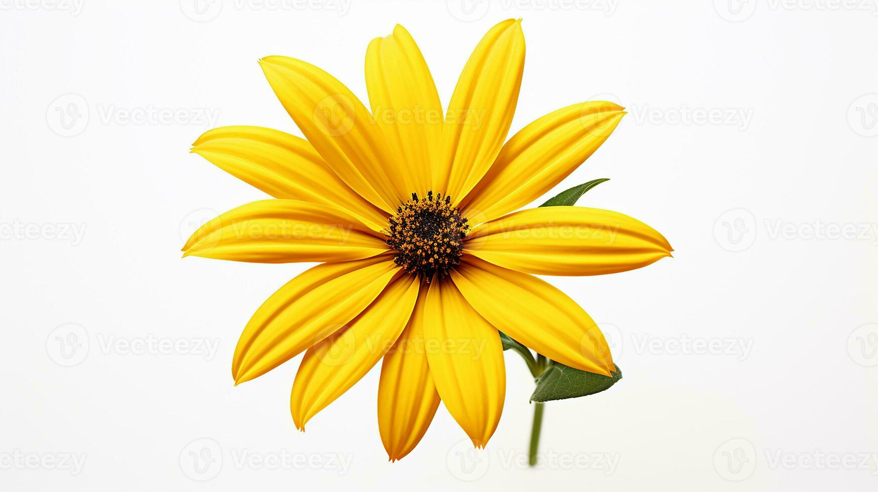 Foto von schön Rudbeckia Blume isoliert auf Weiß Hintergrund. generativ ai