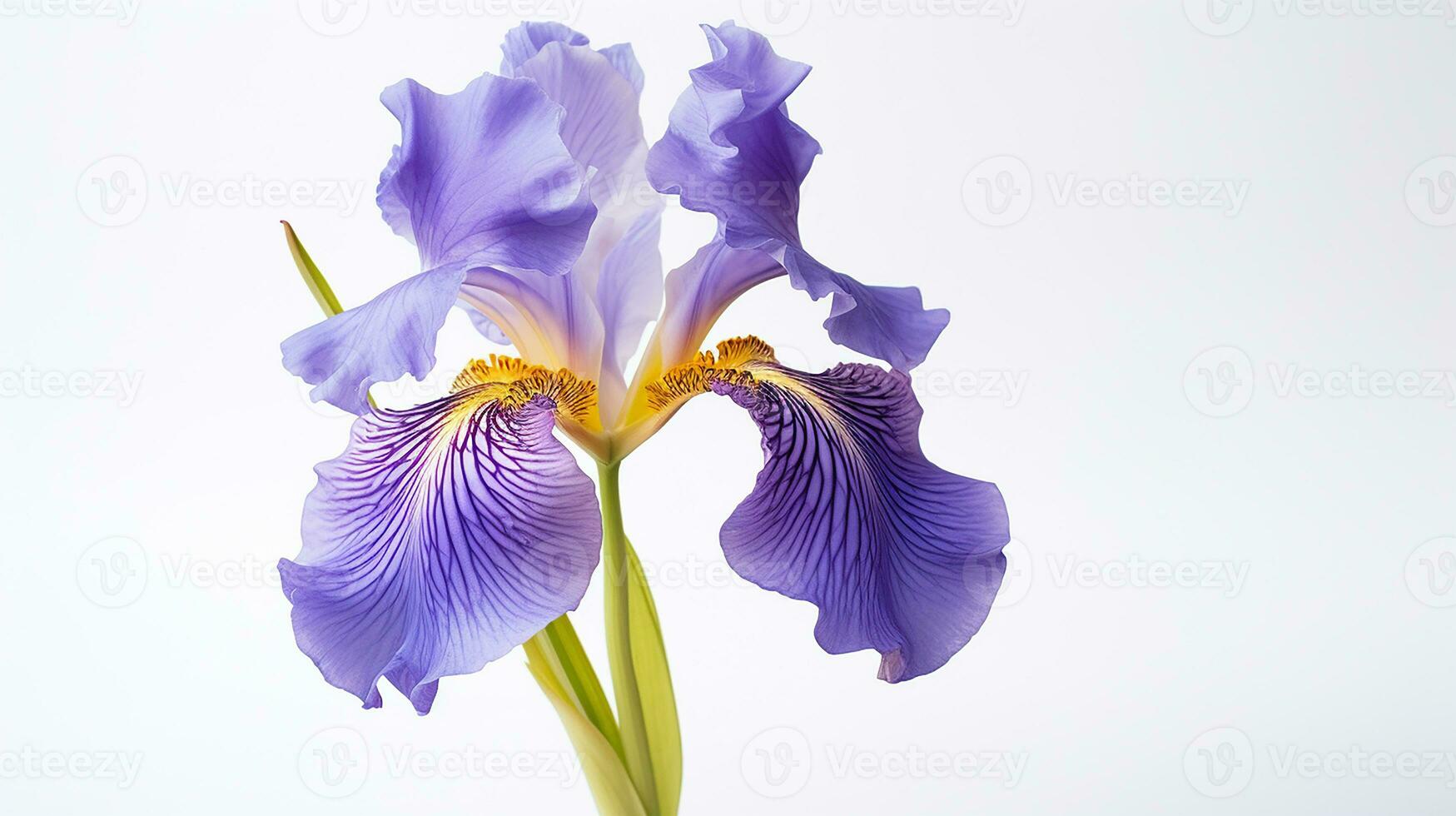 Foto von schön Iris Blume isoliert auf Weiß Hintergrund. generativ ai