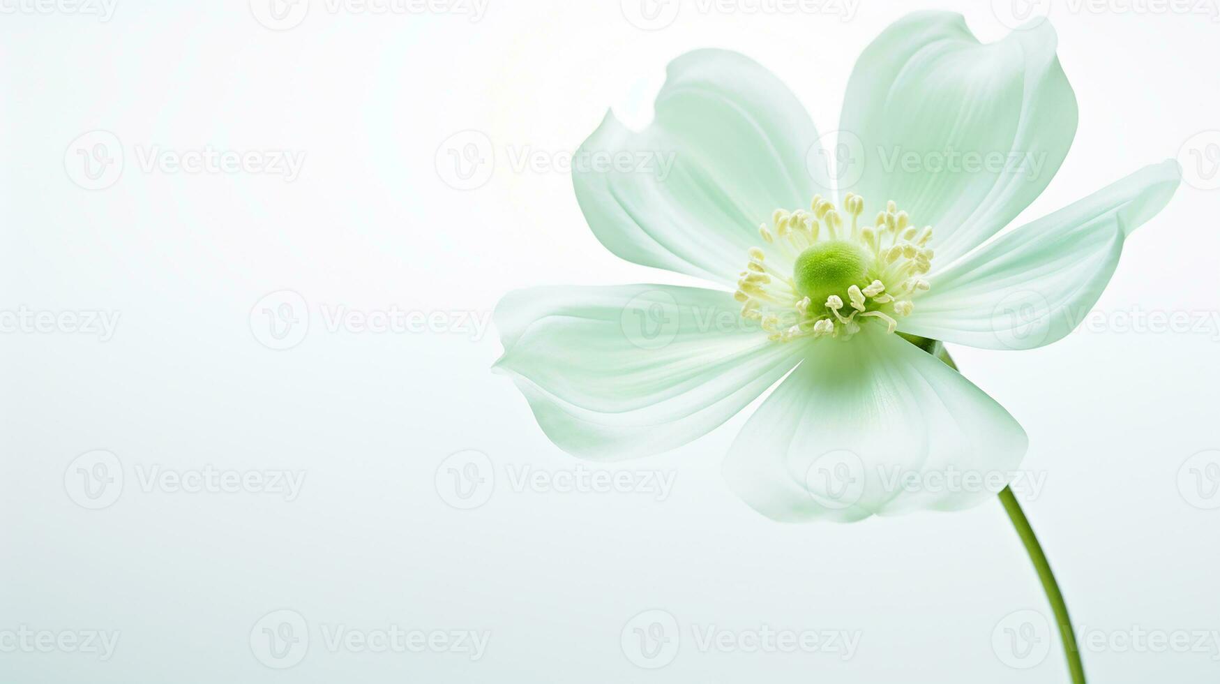 Foto von schön Chrysopsis Blume isoliert auf Weiß Hintergrund. generativ ai