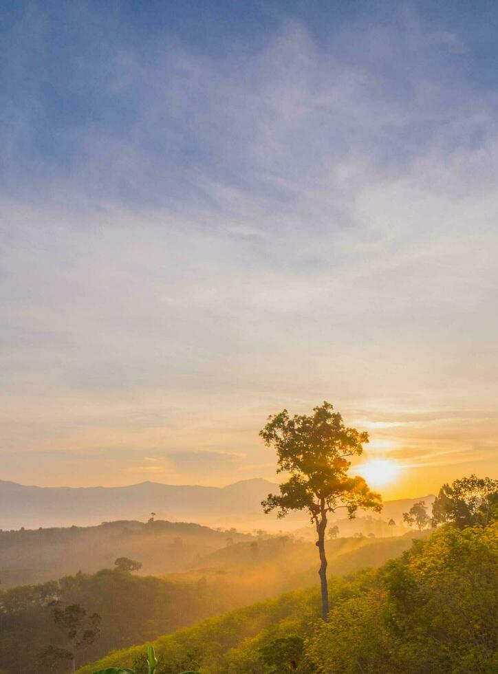 das atemberaubend Aussicht im Nakhornsrithammarat, Thailand, wie gesehen von das Punkt von Aussicht von ein Tourist, mit das Hügel Sein umgeben durch Nebel und ein golden Himmel im das Hintergrund. foto