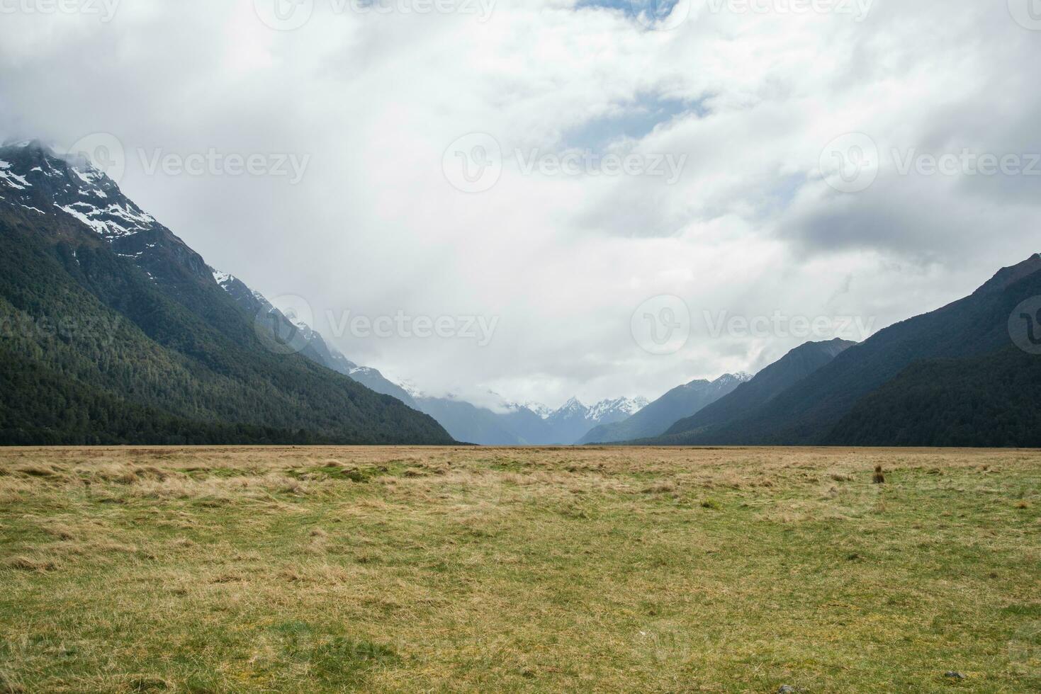 das Landschaft Aussicht von eglinton Senke das spektakulär Landschaft auf das Straße zu Milford Klang im Süd Insel von Neu Neuseeland. foto