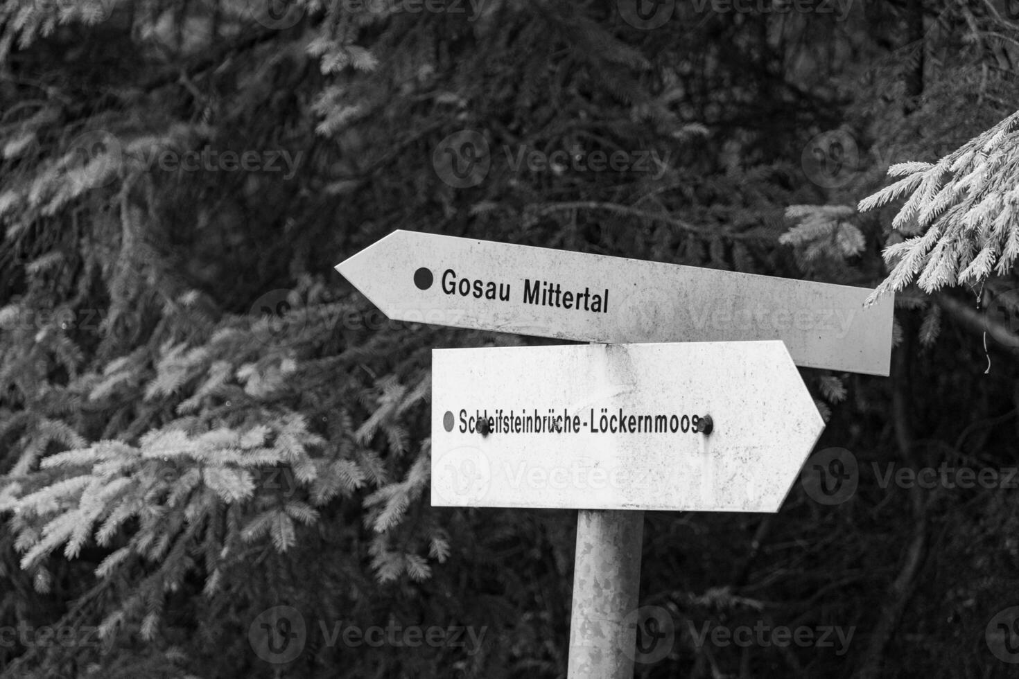 im das österreichisch Alpen foto