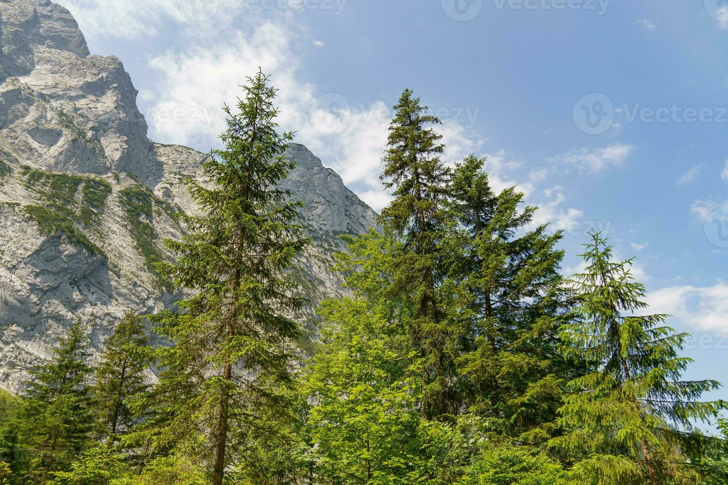 Sommer- Zeit im wunderschön Österreich foto